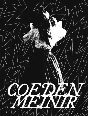 Постер к фильму "Coeden Meinir" #470359