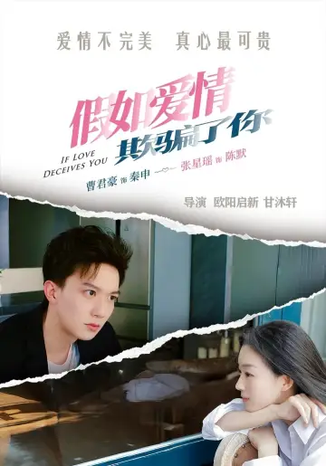 Постер к фильму "假如爱情欺骗了你" #430607