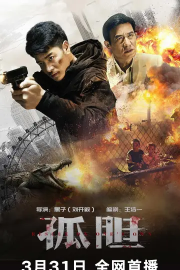 孤胆 постер