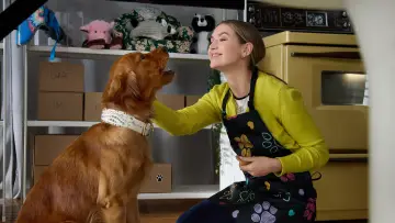 Задник к фильму "Everything Puppies" #487758