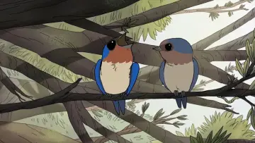 Задник к фильму "Birds" #1574487