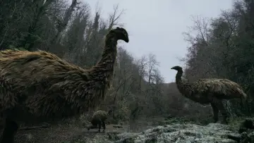 Задник к фильму "Le mystère des oiseaux géants" #1089218