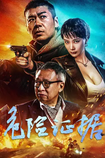 危险证据 постер