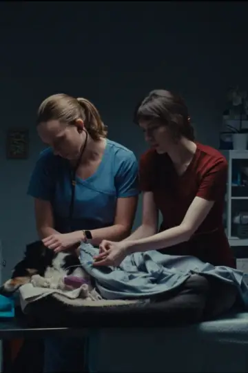 Постер к фильму "Put To Sleep" #464293