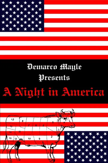 Постер к фильму "A Night in America" #449541