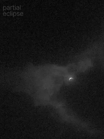 Постер к фильму "Partial Eclipse" #449523
