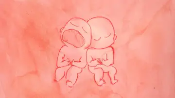 Задник к фильму "Not Enough Womb for the Two of Us" #1101206
