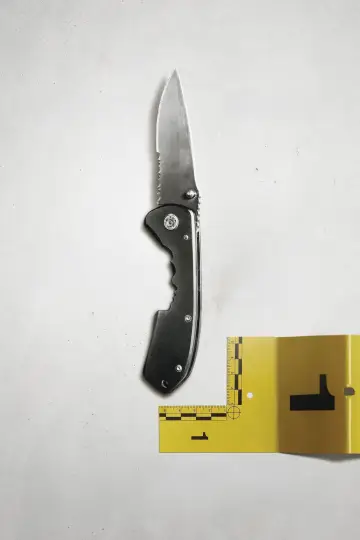 Постер к фильму "The Knife" #553848