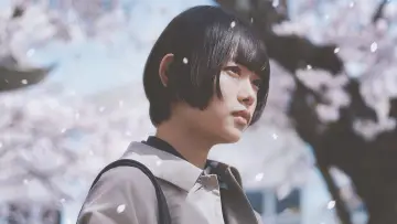 Задник к фильму "朽ちないサクラ" #864646