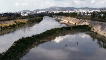 Задник к фильму "γέννημα θρέμμα Δεντροπόταμος" #1107531