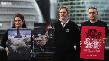 Задник к фильму "Joaquin Phoenix — Schauspieler der Extreme" #1101230