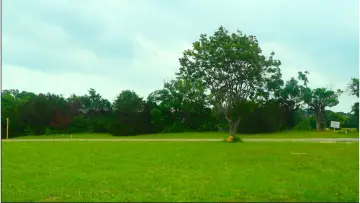 Задник к фильму "Chasing the Wind" #1105655