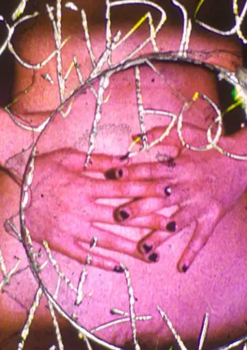Постер к фильму "Trace on my Body" #1107734