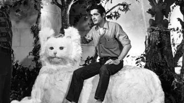 Задник к фильму "Jacques Demy, le rose et le noir" #1105489