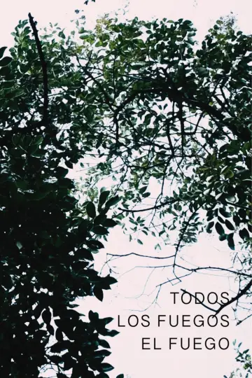 Постер к фильму "Todos los fuegos el fuego" #468515
