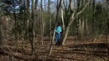 Задник к фильму "Shook Branches" #469752