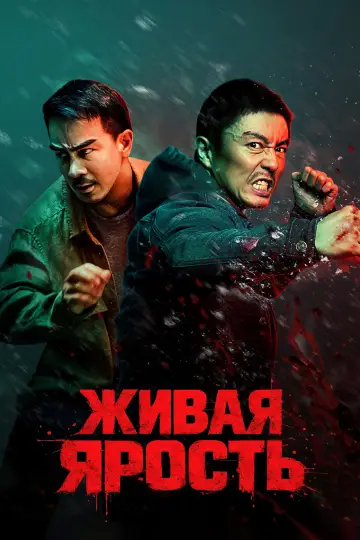 Постер к фильму "Бешеный" #953919