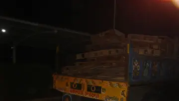 Задник к фильму "CONCRETE DOGS" #477481
