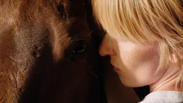 Задник к фильму "Comme des cowboys" #1112538