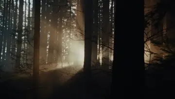 Задник к фильму "Крипер" #514441