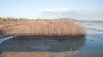 Задник к фильму "The Story of a Slough" #473405