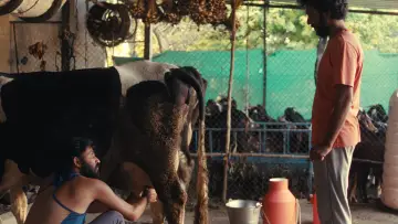 Задник к фильму "साबर बोंडं" #803955