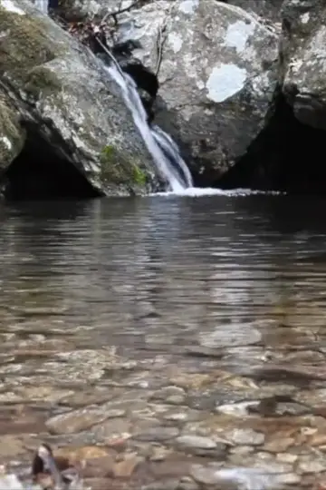 Постер к фильму "Water, Star Medicine" #477683