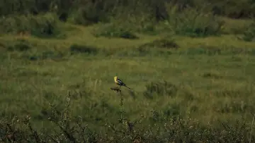 Задник к фильму "" #1188312