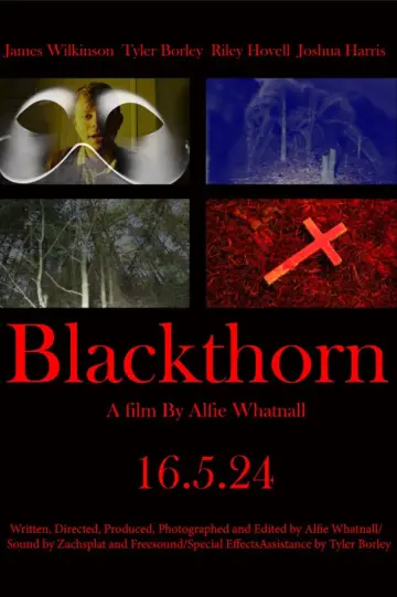 Постер к фильму "Blackthorn" #476518