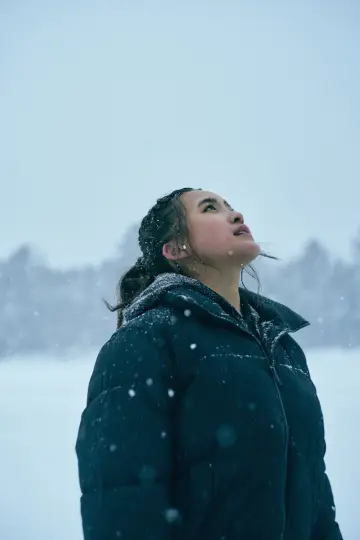 Постер к фильму "Landing On Ice" #1840015