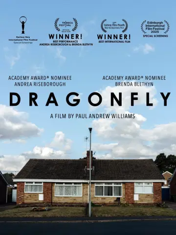 Постер к фильму "Dragonfly" #692829
