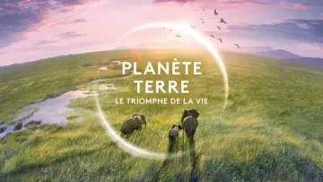 Planète Terre, le triomphe de la vie постер