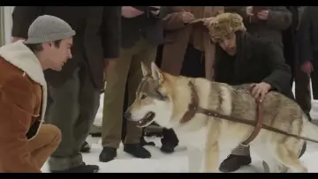 Задник к фильму "Jack London’s Son of the Wolf" #489062