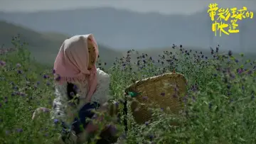 Задник к фильму "带彩球的帐篷" #483319