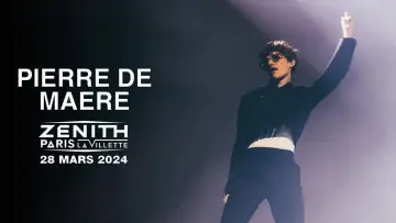 Задник к фильму "Pierre de Maere en concert au Zénith de Paris" #504655