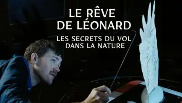Задник к фильму "Le rêve de Léonard : Les secrets du vol dans la nature" #477580