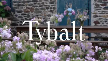 TYBALT постер