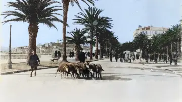 Задник к фильму "Et Dieu créa la Côte d