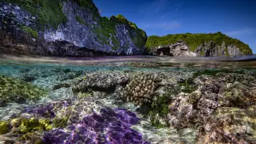 Задник к фильму "Protecting Paradise: The Story of Niue" #737823