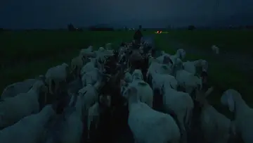 Задник к фильму "Lupi Nostri" #977129
