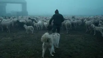 Задник к фильму "Lupi Nostri" #977131