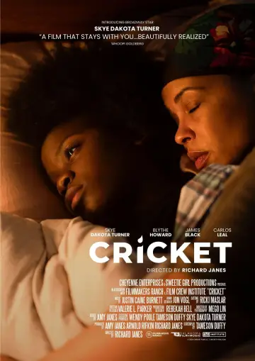 Cricket постер