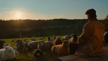Задник к фильму "Следствие ведут овечки" #958465