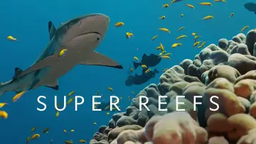 Задник к фильму "Super Reefs" #1138343