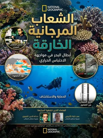 Постер к фильму "Super Reefs" #1173018