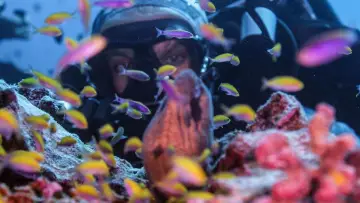 Задник к фильму "Super Reefs" #504094