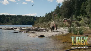 Задник к фильму "T. REX" #1117625