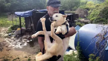 Задник к фильму "Dog War" #490765