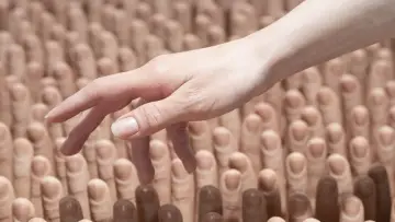 Задник к фильму "The Finger Rub Rug" #491342