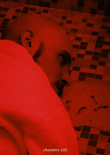 Постер к фильму "Chambre 243" #943075